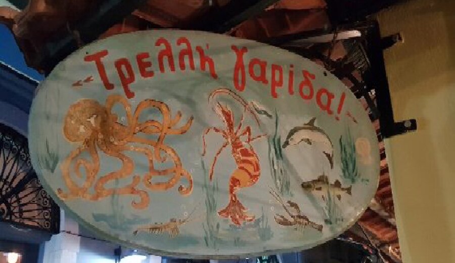 ΤΡΕΛΛΗ ΓΑΡΙΔΑ